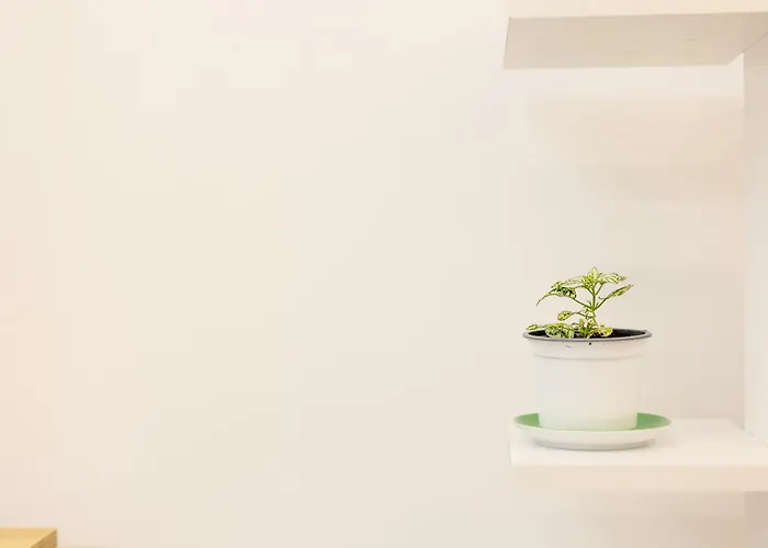 Free Parking Sudio Apartament Tirana